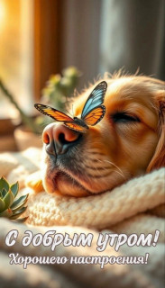 IMG_20251023_075212_920