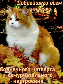 FB_IMG_17611981771835338