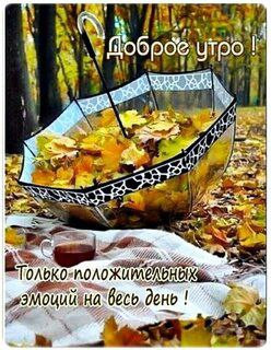 IMG_20251025_061400_266