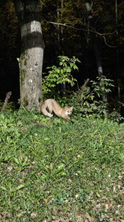 IMG_20251024_162130_469