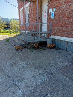 IMG_20251024_162122_033