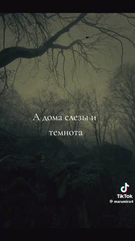 VID_20251025_154935_487