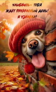 FB_IMG_17616239474453664