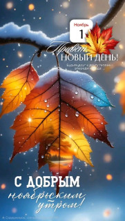 FB_IMG_17619707945006702