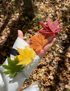 IMG_20251030_152930_249