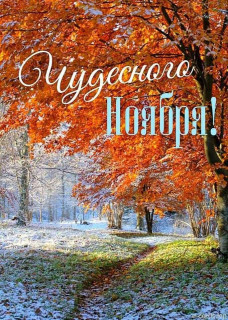 IMG_20251101_121852_935