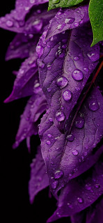 fCkjHIlftxfBNxZ_wQ4JLBeJfY9czrhRN-G-CgvcI0mIxh6fD50WadYKfl3_VG_Idic46b_i0V5LyQ7wPHSCXwUC