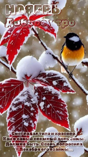 IMG_20251103_065140_800