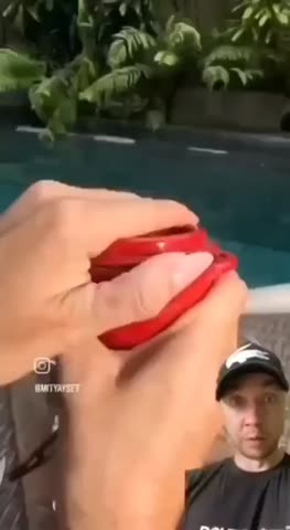 завтрак_кошечки