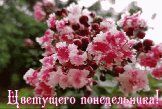 phvldn53aphaydk