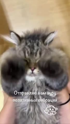 Позитивные_вибрации