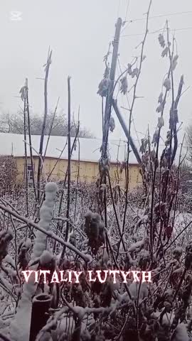 VID_20251114_060542_913