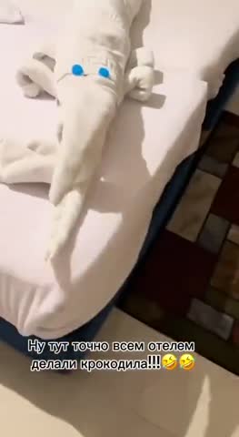 -Из-Полотенец-