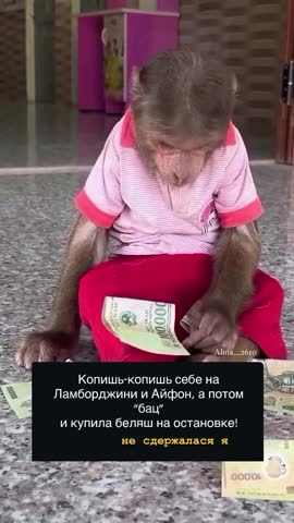 копишь_копишь