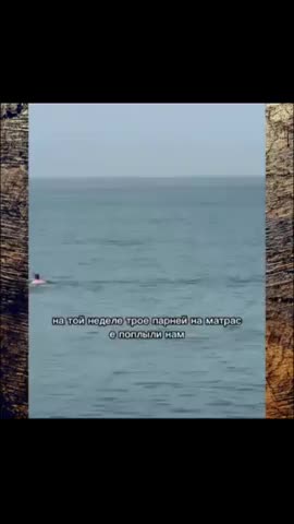 внимание_дельфины