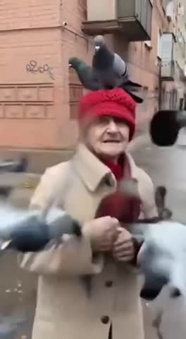 -Бабка-и-Голуби-
