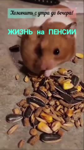 Жизнь на пенсии