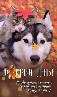 IMG_20251118_084651_370