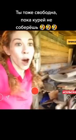 пока_не_соберёшь