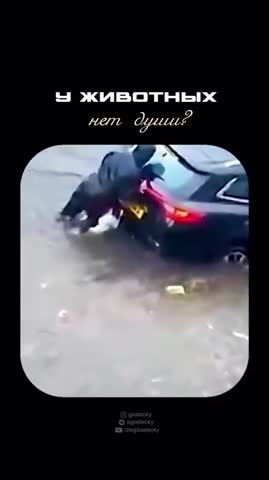 разве_у_животных_нет_души