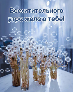 IMG_20251126_044844_096