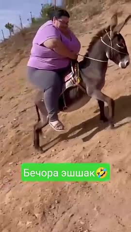 Бедный_осел___