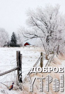 IMG_20251201_074506_191