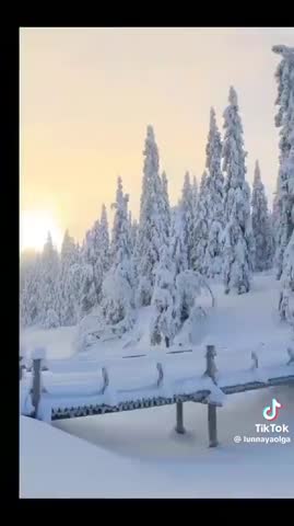 зима_пришла