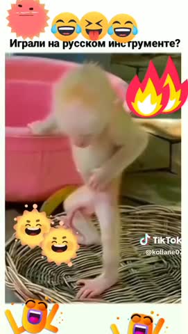 Русский инструмент