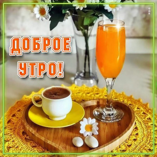 IMG_20251203_081705_987