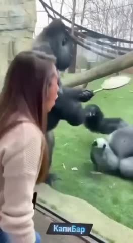 не_злите_жен