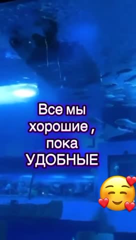 Измени образ мышления