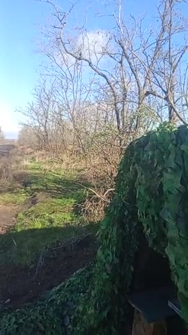 Йети