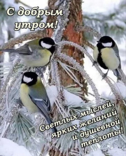 IMG_20251210_072731_803