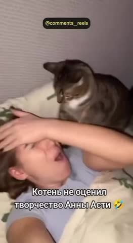 семейные_разборки