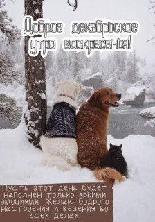 IMG_20251220_231024_721