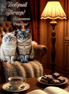 IMG_20251223_131300_083