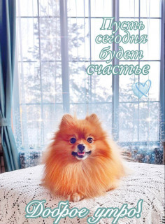 IMG_20251224_035510_444