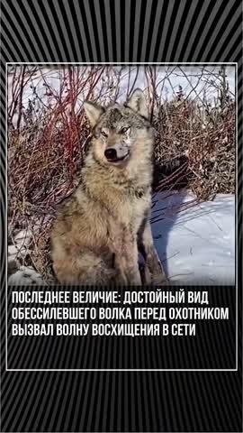 Последнее_величие