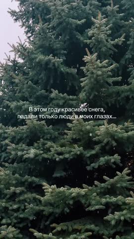 В этом году