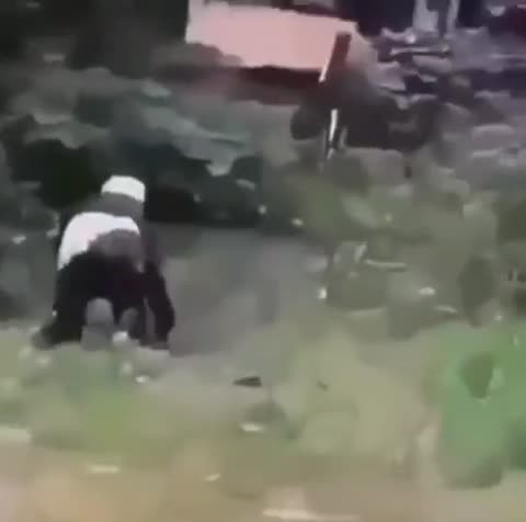 кто_ходит_в_гости_по_утрам