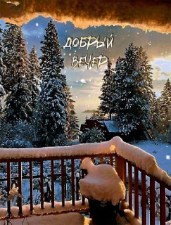 IMG_20251228_174454_057