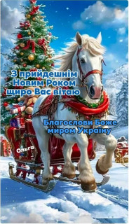 FB_IMG_17671621944785648