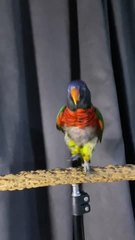 А теперь танцы