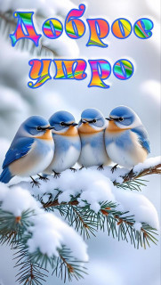 IMG_20260102_052402_874