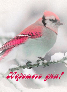 IMG_20260102_100316_070