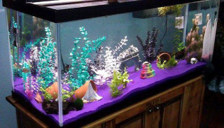 post-385286-0-88539800-1378013330