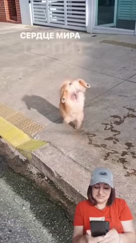 я_рисую_на_асфальте