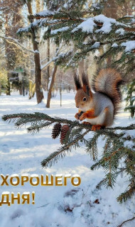 IMG_20260105_074911_252