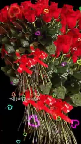 VID_20260103_140031_636